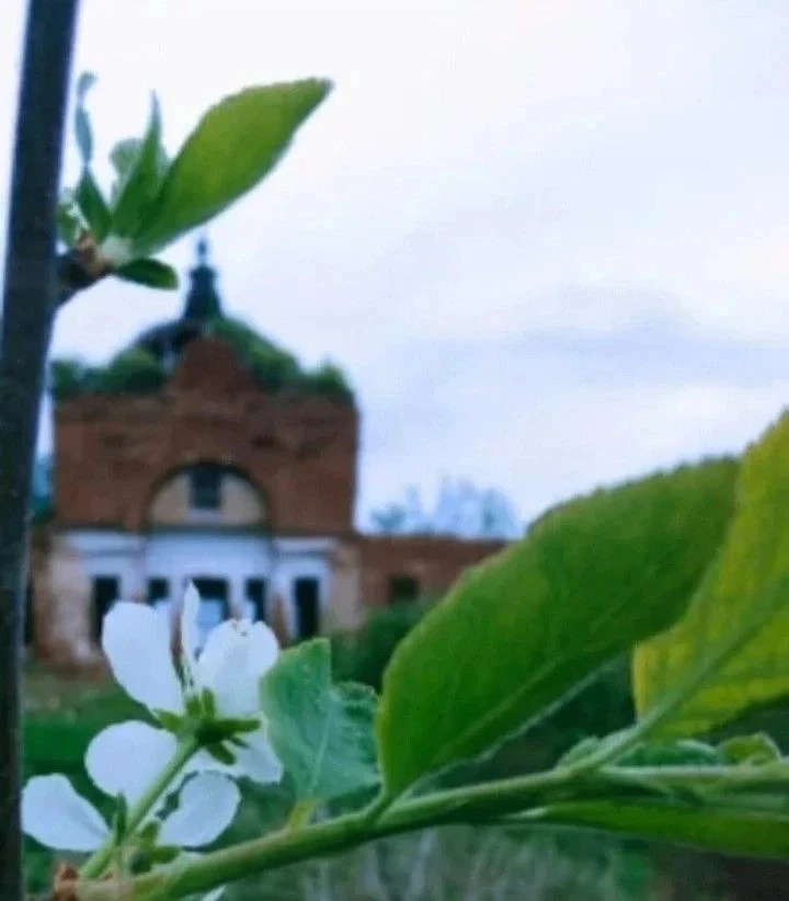 Фото храма 9